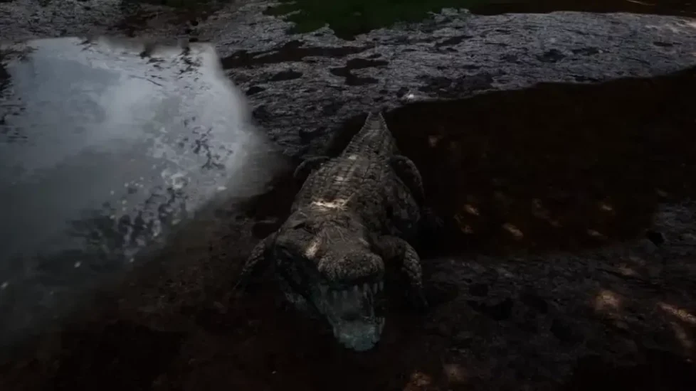 Hướng dẫn chơi Deinosuchus trong The Isle: Cách chơi, điều khiển, chế độ ăn, chiến đấu, mẹo