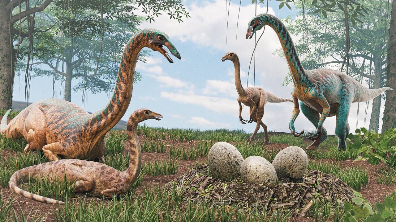Hướng Dẫn Chơi Gallimimus Trong The Isle: Cách Chơi, Điều Khiển, Chế Độ Ăn, Chiến Đấu